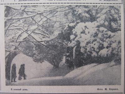 Прикрепленное изображение: IMG_3503.JPG